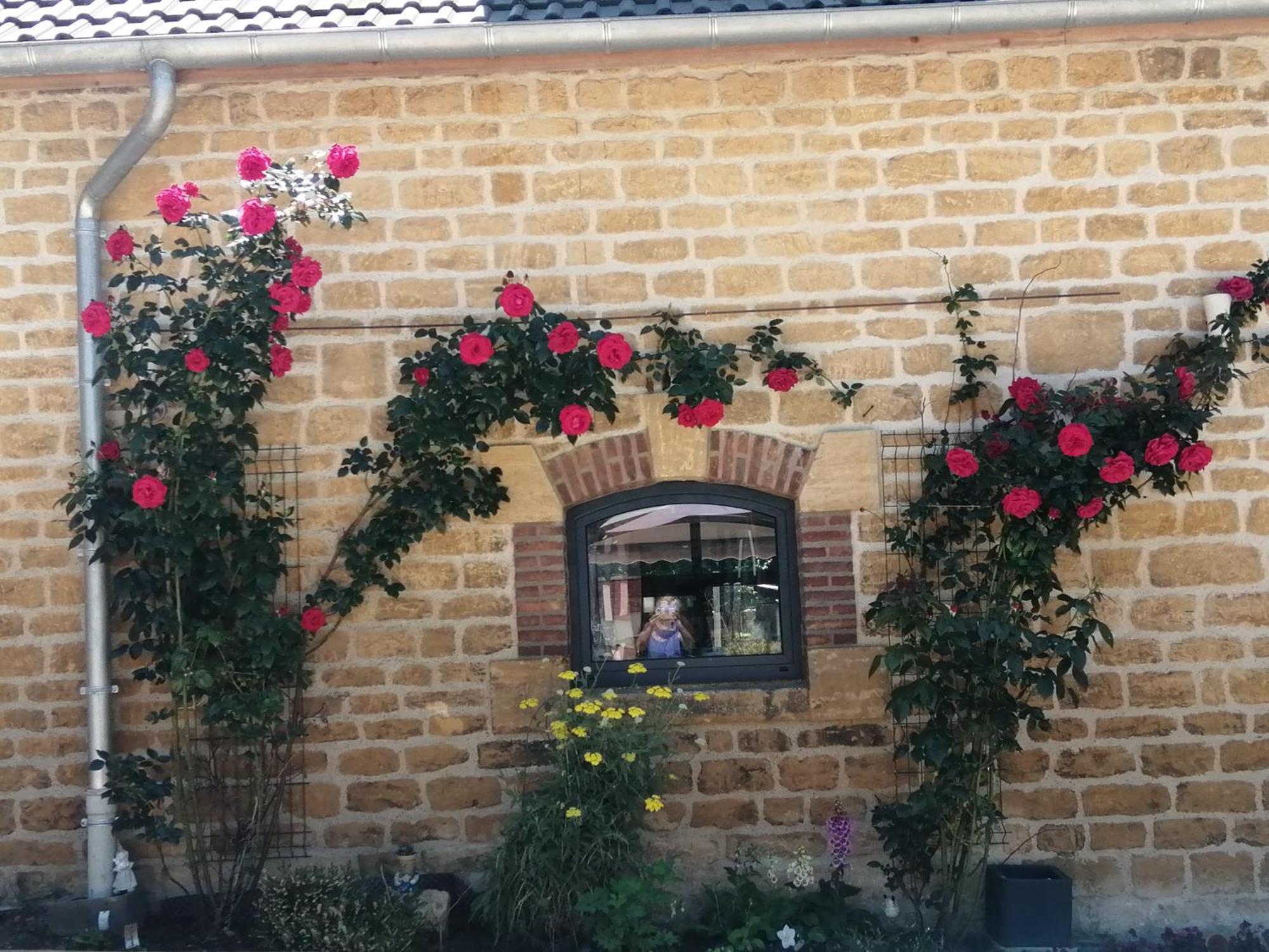 O Jardin De Boutancourt Villa Bagian luar foto