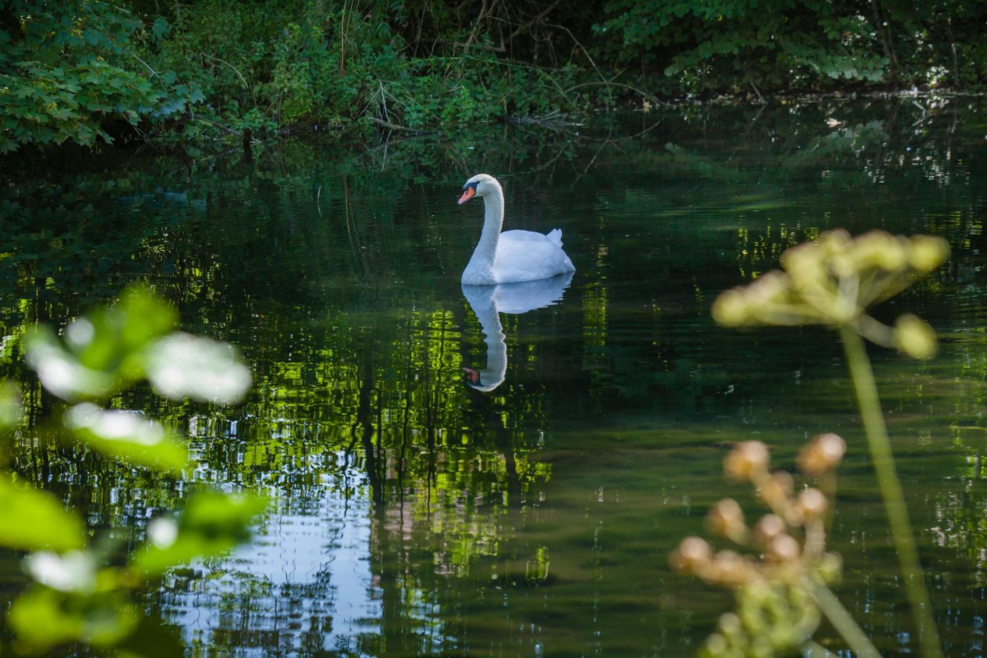 O Jardin De Boutancourt Villa Bagian luar foto
